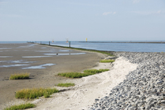 Greetsiel und Umgebung
