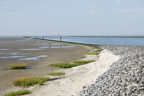 Greetsiel und Umgebung