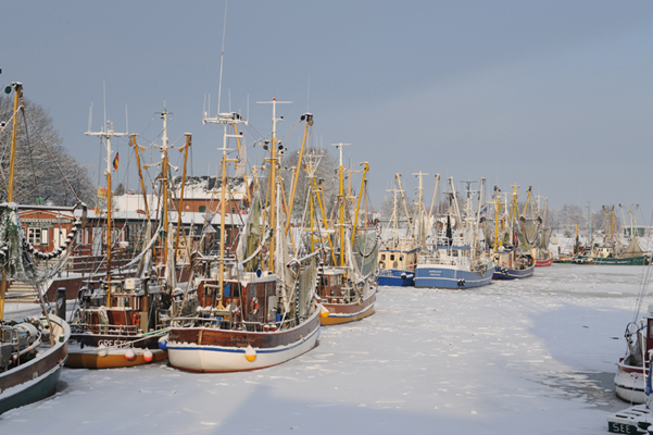 Greetsiel und Umgebung